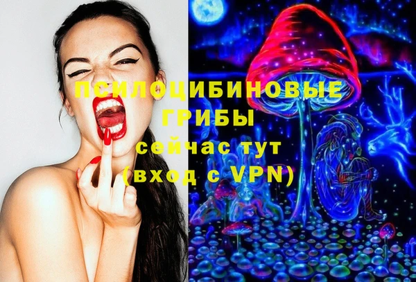 хмурый Богородицк