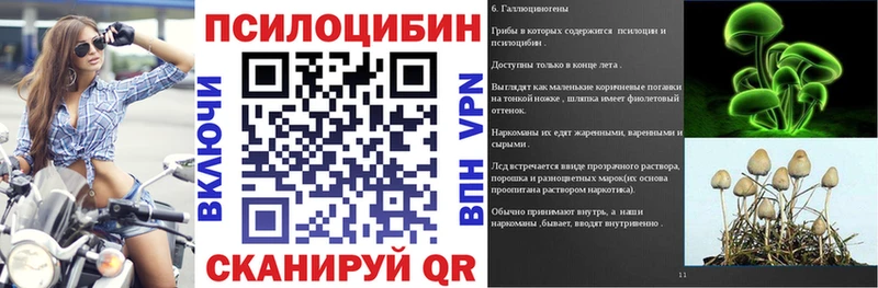 OMG маркетплейс  Маркс  Галлюциногенные грибы прущие грибы 
